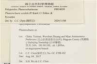 登錄號:F0034020藏品圖，第3張