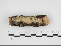 登錄號:F0034021藏品圖，第1張