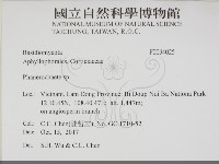 顯絲菌屬藏品圖，第2張