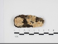 登錄號:F0034026藏品圖，第1張