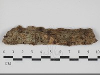 顯絲菌屬藏品圖，第1張