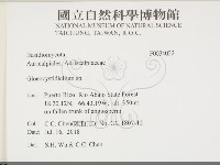 登錄號:F0034032藏品圖，第2張