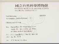 登錄號:F0034034藏品圖，第2張