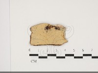 登錄號:F0034034藏品圖，第1張