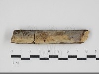 登錄號:F0034035藏品圖，第1張