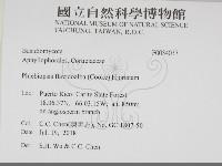 登錄號:F0034037藏品圖，第2張