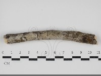 登錄號:F0034037藏品圖，第1張