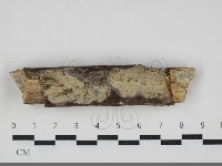 登錄號:F0034038藏品圖，第1張