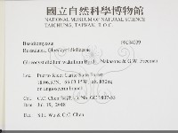 登錄號:F0034039藏品圖，第2張