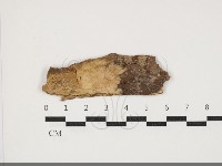 登錄號:F0034040藏品圖，第1張