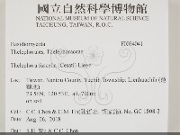 棕色革菌藏品圖，第2張