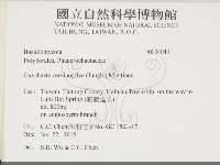 登錄號:F0034043藏品圖，第2張