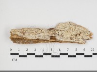 登錄號:F0034045藏品圖，第1張