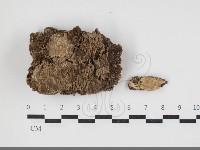 登錄號:F0034048藏品圖，第1張