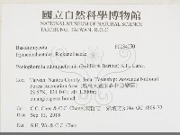 登錄號:F0034050藏品圖，第2張