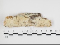 登錄號:F0034050藏品圖，第1張