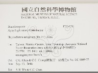 剛毛絲皮菌藏品圖，第2張