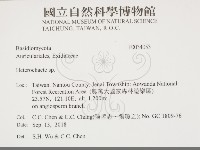 刺皮菌屬藏品圖，第2張