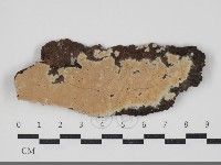 登錄號:F0034056藏品圖，第1張