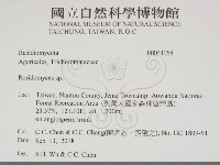 登錄號:F0034058藏品圖，第2張