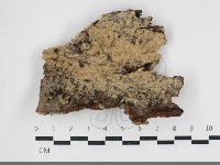 登錄號:F0034060藏品圖，第1張