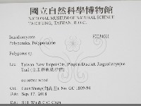 多孔菌屬藏品圖，第2張