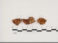 登錄號:F0034063藏品圖，第1張