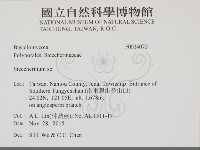 齒耳菌屬藏品圖，第2張