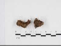 登錄號:F0034071藏品圖，第1張