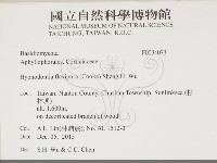 登錄號:F0034073藏品圖，第2張