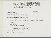 登錄號:F0034074藏品圖，第2張