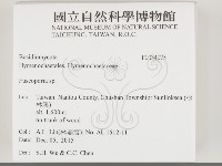 登錄號:F0034075藏品圖，第2張