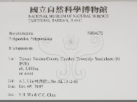 附毛菌屬藏品圖，第2張