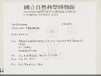 登錄號:F0034078藏品圖，第2張