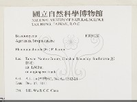 登錄號:F0034080藏品圖，第2張