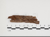 登錄號:F0034084藏品圖，第1張