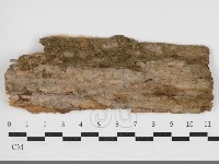 登錄號:F0034088藏品圖，第1張