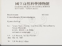 刺革菌屬藏品圖，第2張