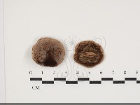 登錄號:F0034092藏品圖，第1張