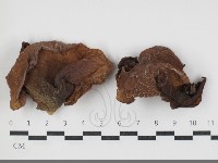 登錄號:F0034093藏品圖，第1張