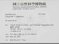 多年臥孔菌屬藏品圖，第2張