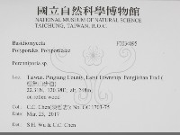 多年臥孔菌屬藏品圖，第2張