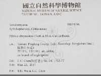 登錄號:F0034096藏品圖，第2張