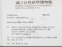 登錄號:F0034099藏品圖，第2張