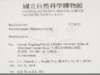 花耳屬藏品圖，第2張