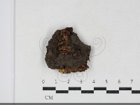 登錄號:F0034101藏品圖，第1張
