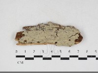 登錄號:F0034104藏品圖，第1張