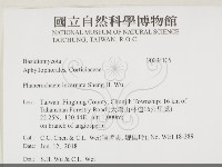 登錄號:F0034105藏品圖，第2張