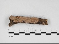 登錄號:F0034105藏品圖，第1張