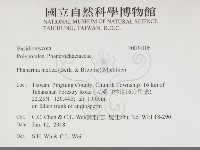 登錄號:F0034106藏品圖，第2張